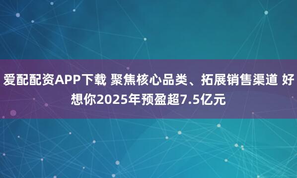 爱配配资APP下载 聚焦核心品类、拓展销售渠道 好想你2025年预盈超7.5亿元
