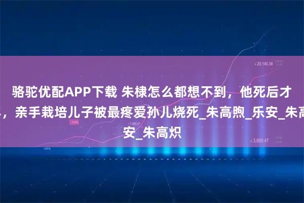 骆驼优配APP下载 朱棣怎么都想不到，他死后才2年，亲手栽培儿子被最疼爱孙儿烧死_朱高煦_乐安_朱高炽