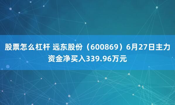 股票怎么杠杆 远东股份（600869）6月27日主力资金净买入339.96万元