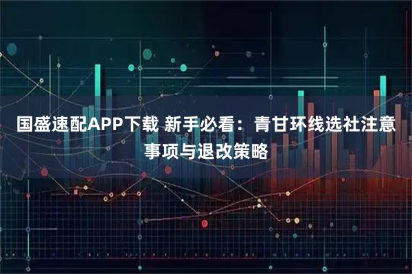 国盛速配APP下载 新手必看：青甘环线选社注意事项与退改策略